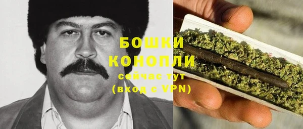 стафф Новозыбков