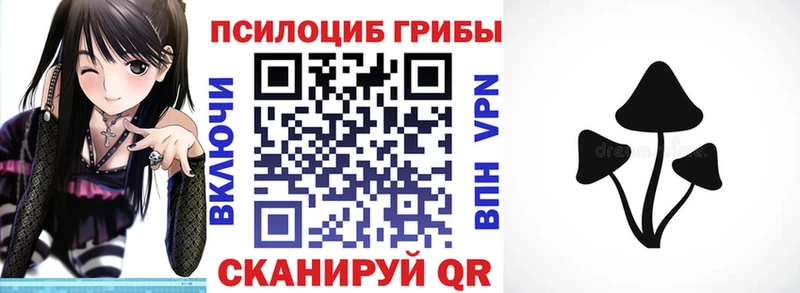 где найти наркотики  Минусинск  Галлюциногенные грибы прущие грибы 