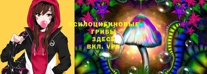 Псилоцибиновые грибы Magic Shrooms  как найти   площадка состав  Минусинск 