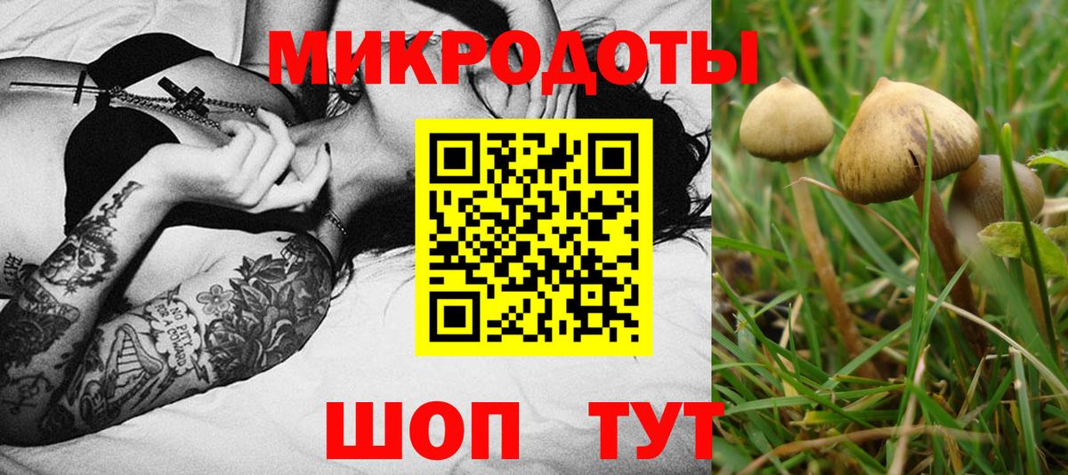 Галлюциногенные грибы MAGIC MUSHROOMS  Вход с VPN  Минусинск 