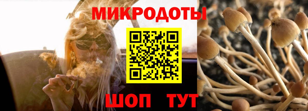 Галлюциногенные грибы мухоморы Минусинск
